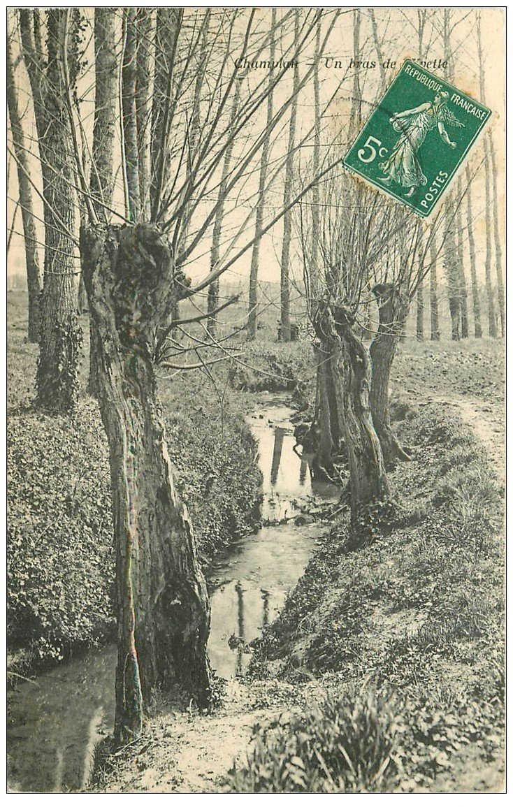 carte postale ancienne 91 CHAMPLAIN. Un Bras de l'Yvette 1909