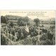 carte postale ancienne 14 LISIEUX. Pélerinage Militaire au Cimetière
