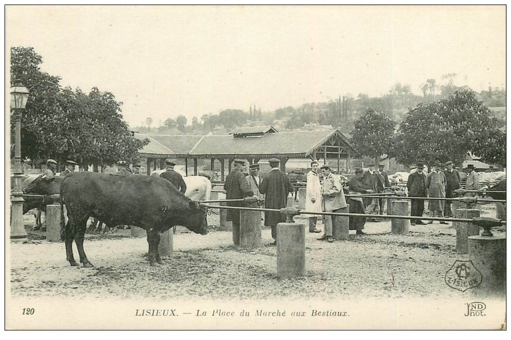 14 LISIEUX. Place du Marché aux Bestiaux