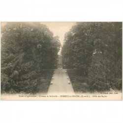carte postale ancienne 91 GOMEZ LE CHATEL. Allée des Sapins Ecole d'Agriculture Château de Belleville. Gif