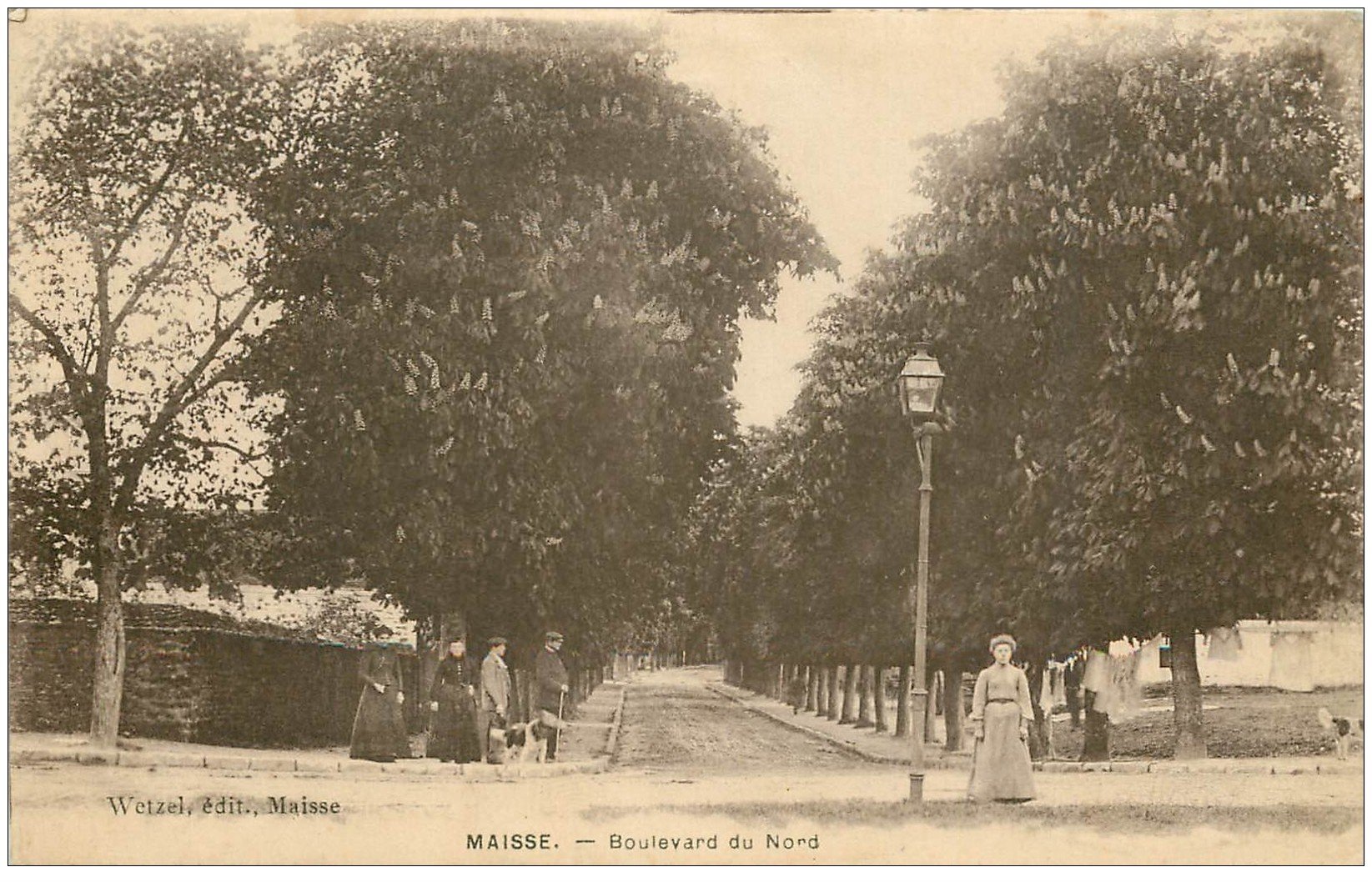 carte postale ancienne 91 MAISSE. Boulevard du Nord
