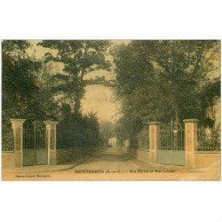 carte postale ancienne 91 MEREVILLE. Rue Parent et Rue Louise 1923. Carte de luxe