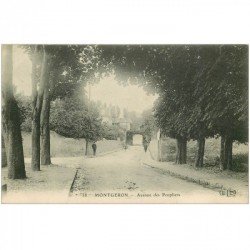carte postale ancienne 91 MONTGERON. Avenue des Paupliers . Tampon Grande Cordonnerie Populaire Place de la République