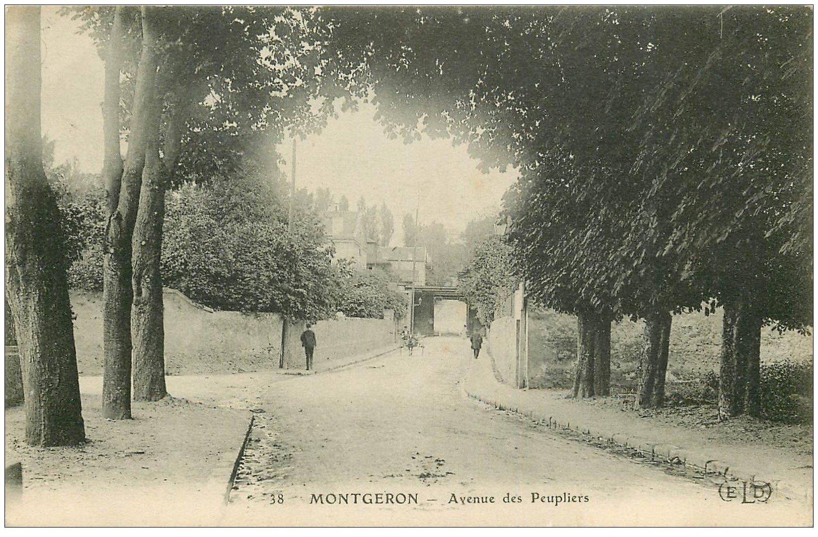 carte postale ancienne 91 MONTGERON. Avenue des Paupliers . Tampon Grande Cordonnerie Populaire Place de la République