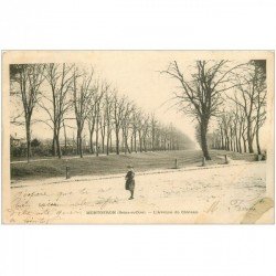 carte postale ancienne 91 MONTGERON. Avenue du Château 1903 (petite restauration)...