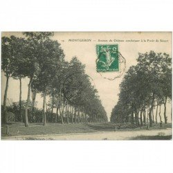 carte postale ancienne 91 MONTGERON. Avenue du Château vers Forêt de Sénart 1911