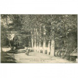 carte postale ancienne 91 ORSAY. Chemin de l'Yvette et Viaduc Lavandière avec brouette 1923
