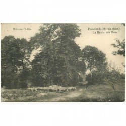 carte postale ancienne 91 PUISELET LE MARAIS. La Route des Bois avec troupeau de Moutons