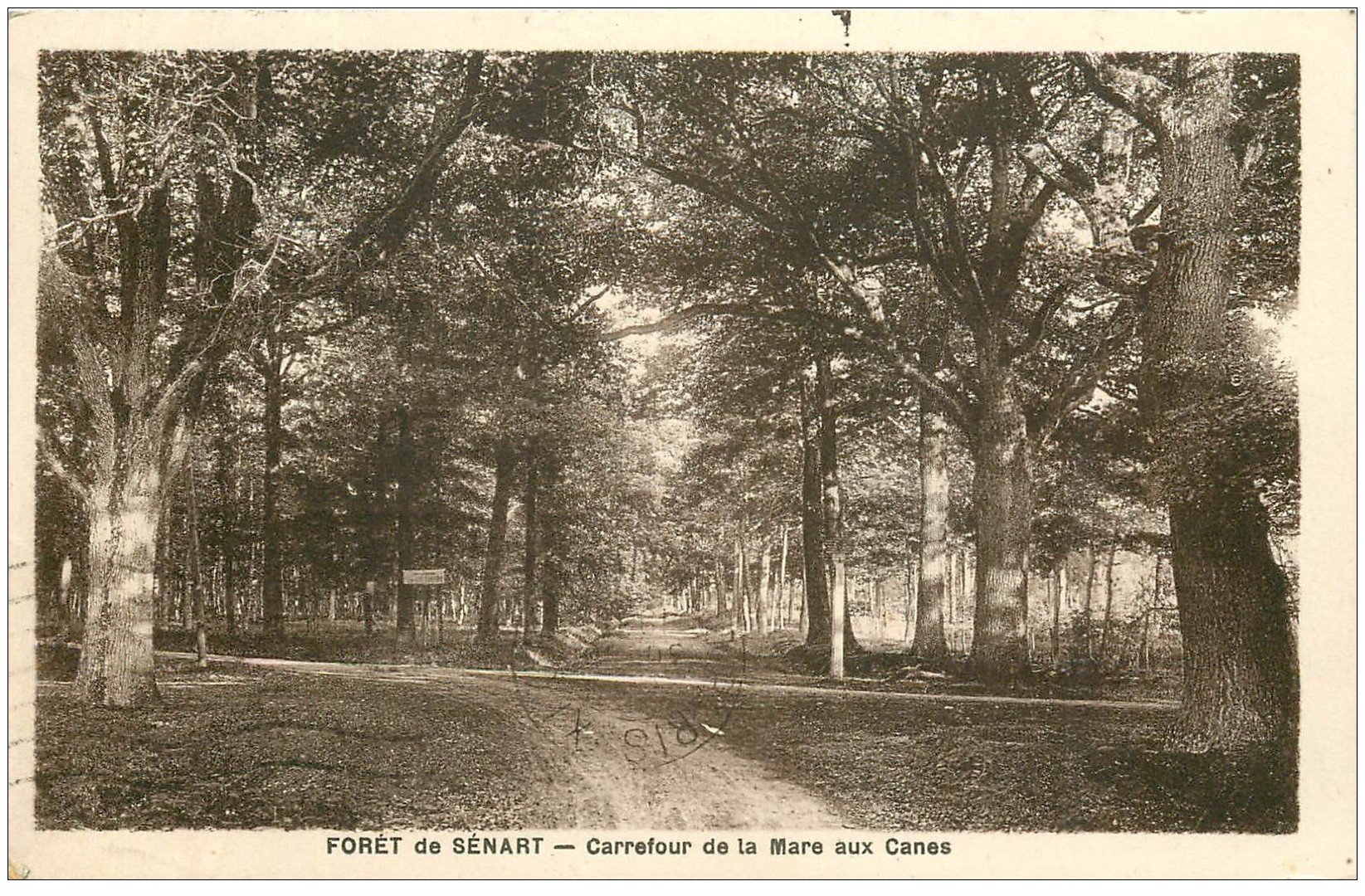 carte postale ancienne 91 SENART. La Forêt. Carrefour de la Mare aux Canes