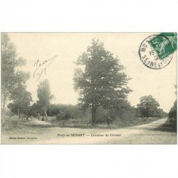 carte postale ancienne 91 SENART. La Forêt. Carrefour du Cormier 1908 animation