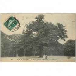 carte postale ancienne 91 SENART. La Forêt. Chêne d'Antin 1911. Carte déliassée...