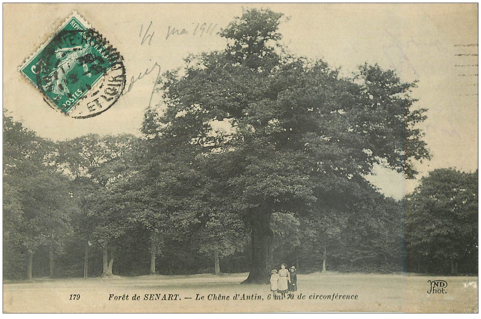 carte postale ancienne 91 SENART. La Forêt. Chêne d'Antin 1911. Carte déliassée...