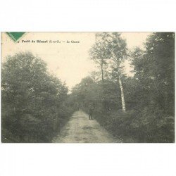 carte postale ancienne 91 SENART. La Forêt. La Chasse avec Chasseurs 1913