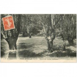 carte postale ancienne 91 SENART. La Forêt. Personnage à la Mare du Vieux Château