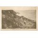 carte postale ancienne 14 LONGUES-SUR-MER. Les Falaises