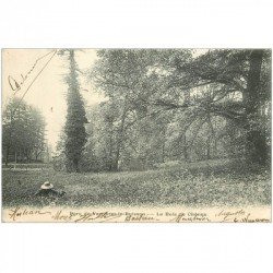 carte postale ancienne 91 VERRIERES LE BUISSON. Le Parc. Le Bois de Chênes 1904