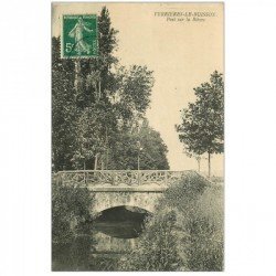 carte postale ancienne 91 VERRIERES LE BUISSON. Pont sur la Bièvre animation