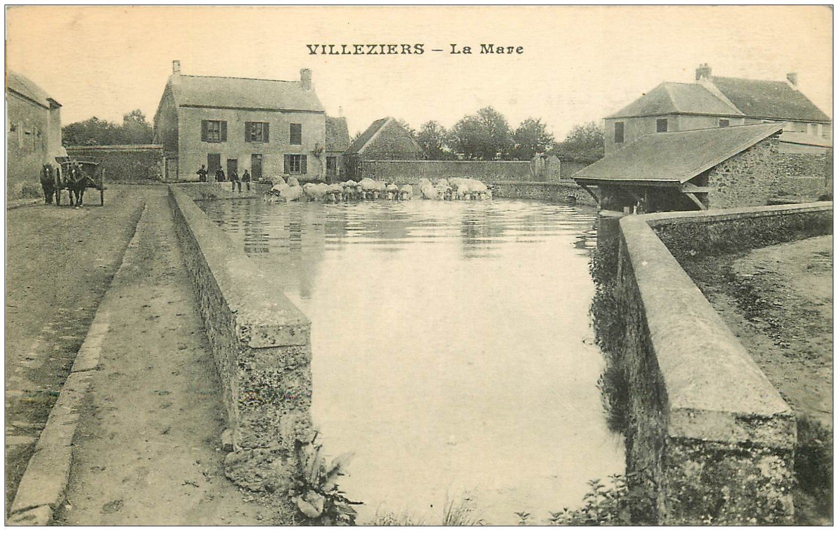 91 VILLEZIERS. La Mare attelage et troupeau de Boeufs