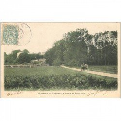 carte postale ancienne 91 WISSOUS. Château et Attelage sur Chemin de Mont Jean 1905