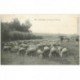 91 YERRES. Chevaux de labour et Moutons aux Pâturages 1908