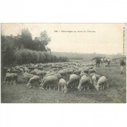 carte postale ancienne 91 YERRES. Chevaux de labour et Moutons aux Pâturages 1908