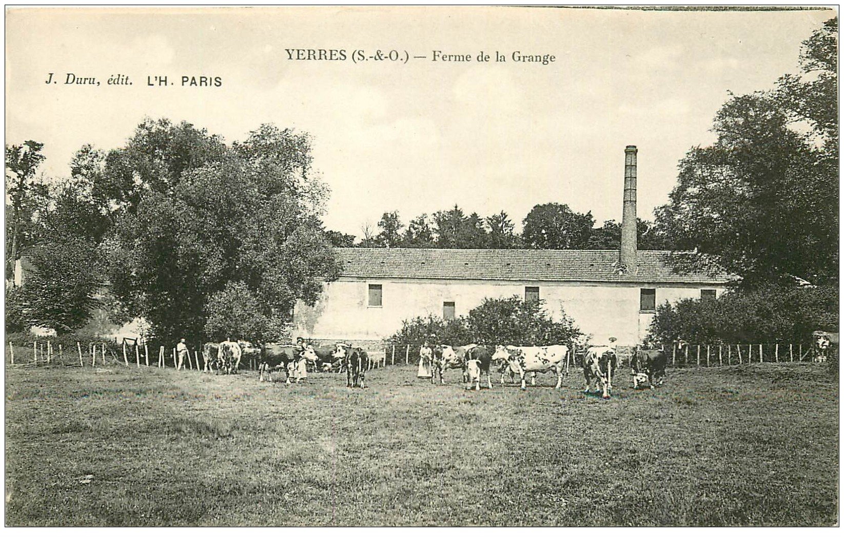 carte postale ancienne 91 YERRES. Ferme de la Grange troupeau de Vaches