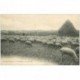 carte postale ancienne K. 91 BRUNOY. Les Vallées. Berger et troupeau de Moutons au pâturage vers 1909