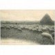 carte postale ancienne K. 91 BRUNOY. Les Vallées. Berger et troupeau de Moutons au pâturage vers 1909