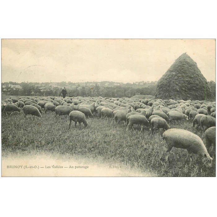 Carte postale postcard 10x15cm SAINTE-COLOMBE troupeau brebis berger VENTOUX 