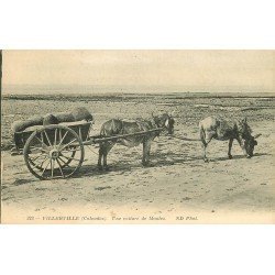 14 VILLERVILLE. Une voiture de Moules. Attelage pour Pêche et Pêcheurs Poissons et Crustacés