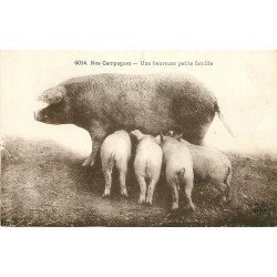 ANIMAUX. Cochons et Porcs. Une Truie et ses Porcelets