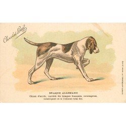 ANIMAUX. Chiens. Le Braque Allemand. Publicité Chocolat Louit