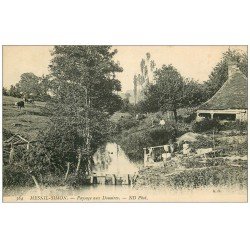 carte postale ancienne 14 MESNIL-SIMON. Paysage aux Douaires. Lavandière et Pêcheur à la ligne 1920