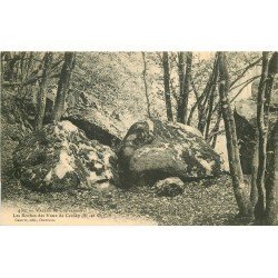 78 VALLEE DE CHEVREUSE. Les Roches de Vaux de Cernay. Dolmens et Menhirs et Pierres