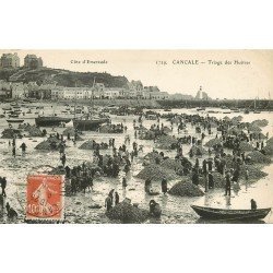 35 CANCALE. Le Triage des Huîtres 1912 Ostréïculteurs Métiers de la Mer