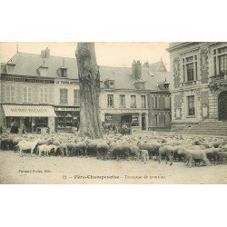 51 FERE CHAMPENOISE. Troupeau de Moutons Place de la Mairie et Familistère 1916