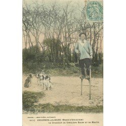 33 ANDERNOS LES BAINS. Bodin Chasseur de sangliers sur ses échasses et sa Meute de chiens 1906
