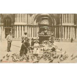 VENEZIA. Piccioni Porta della Chiesa San Marco