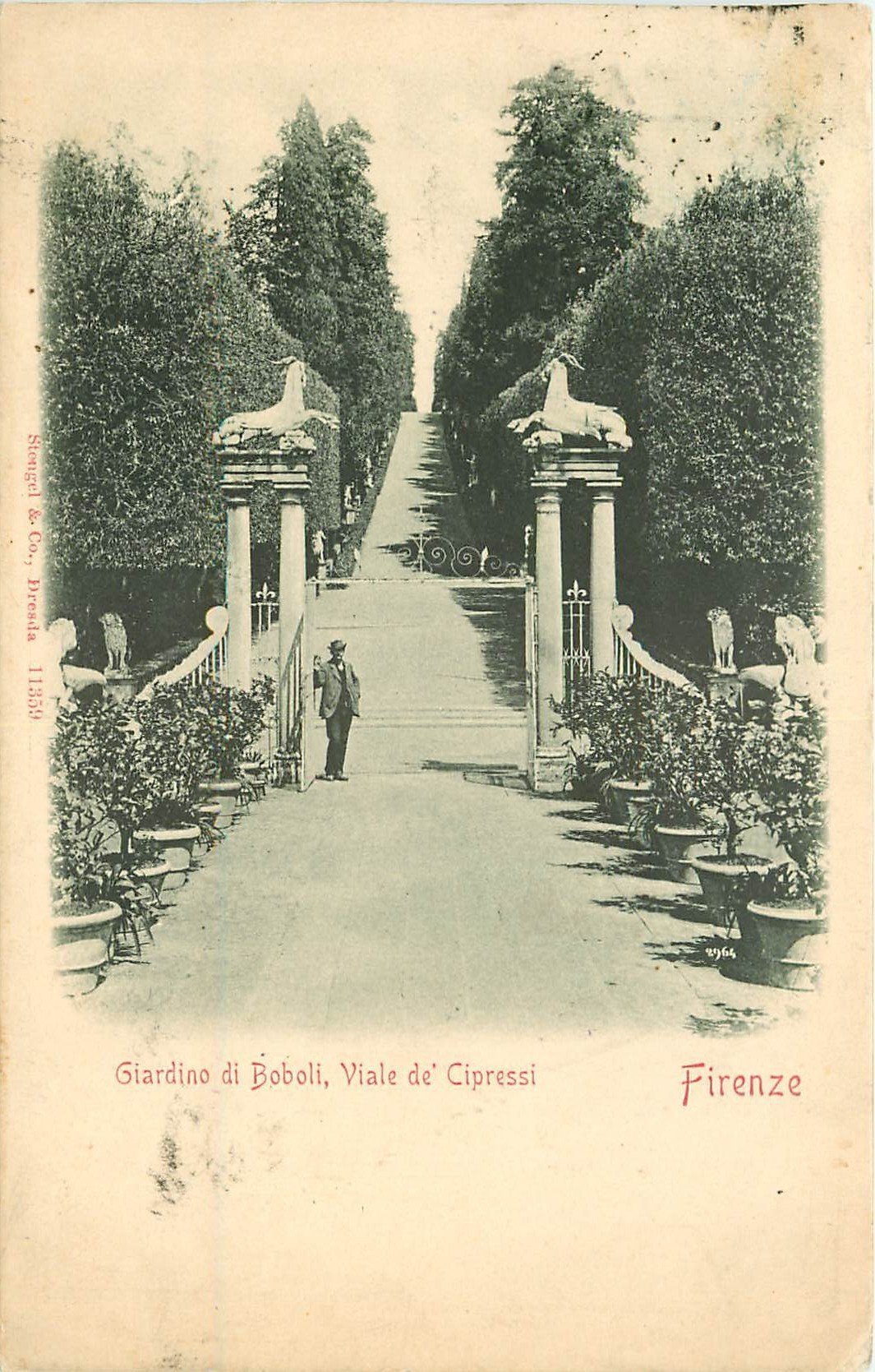 FIRENZE. Giardino di Boboli Viale de Cipressi 1901
