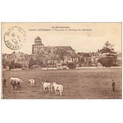 carte postale ancienne 14 PONT-L'EVÊQUE. Herbage des Humières 1928 Vaches et Gardien