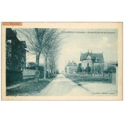 carte postale ancienne 14 RIVA-BELLA. Avenue Roger de la Chouquet 1928