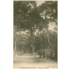 carte postale ancienne 95 BEAUCHAMPS. Avenue des Sapins animée avec Chien vers 1910-15