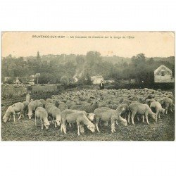 95 BRUYERES SUR OISE. Berger et troupeau de Moutons sur Berge de l'Oise 1915