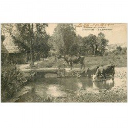 carte postale ancienne 95 CONDECOURT. Vaches à l'Abreuvoir 1919