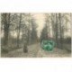 carte postale ancienne 95 TAVERNY. Une Allée en Forêt 1909