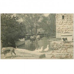 carte postale ancienne K. 95 VIARMES. Le Moulin de Giez 1908 Chevaux et Chiens