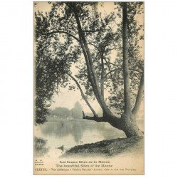 carte postale ancienne 94 CRETEIL. L'Arbre penché sur la Marne 1923