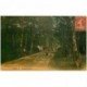 carte postale ancienne 94 COEUILLY. Attelage sur l'Avenue Clair 1907. Superbe carte grumelée. Champigny