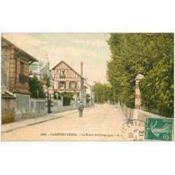 carte postale ancienne 94 CHENNEVIERES SUR MARNE. La Route de Champigny 1909