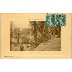 carte postale ancienne 94 CHAMPIGNY SUR MARNE. L'Allée couverte et Tramway sur le Pont 1911